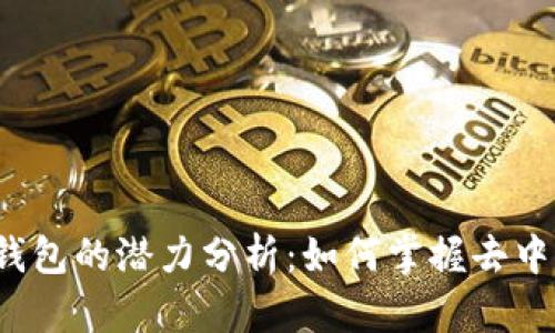 Tokentokenim钱包的潜力分析：如何掌握去中心化金融的未来