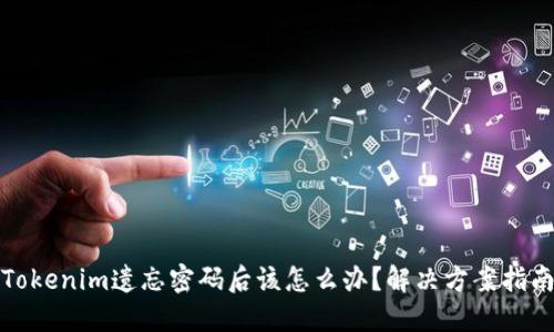 Tokenim遗忘密码后该怎么办？解决方案指南