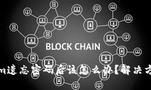 Tokenim遗忘密码后该怎么办？解决方案指南