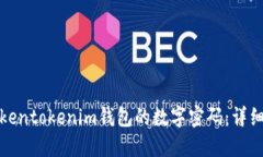 如何找回Tokentokenim钱包的数字密码：详细步骤与