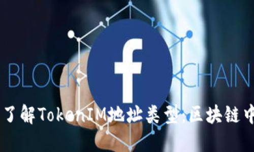 biatoti深入了解TokenIM地址类型：区块链中的数字身份