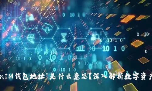 “TokenTokenIM钱包地址”是什么意思？深入解析数字资产存储与管理
