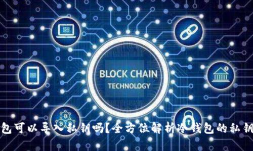 冷钱包可以导入私钥吗？全方位解析冷钱包的私钥管理