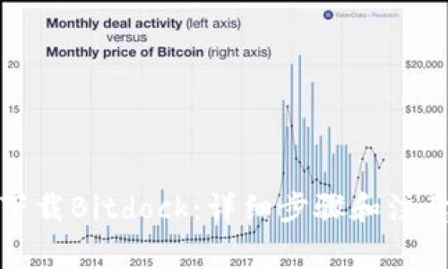如何下载Bitdock：详细步骤和注意事项