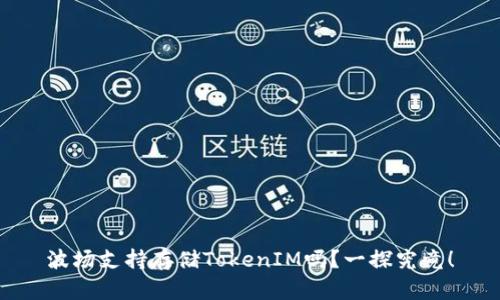 波场支持存储TokenIM吗？一探究竟！