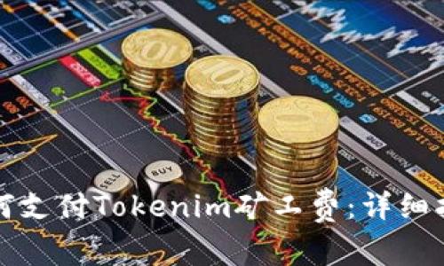 如何支付Tokenim矿工费：详细指南