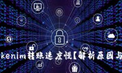 为什么Tokenim转账速度慢？解析原因与解决方案