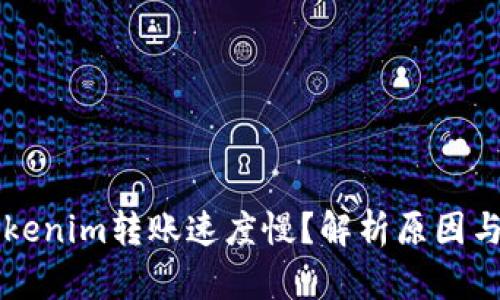 为什么Tokenim转账速度慢？解析原因与解决方案