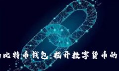 中本聪的比特币钱包：揭开数字货币的神秘面纱