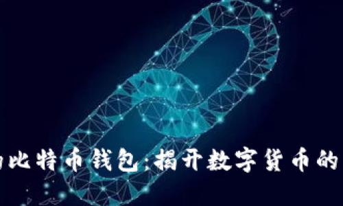 中本聪的比特币钱包：揭开数字货币的神秘面纱