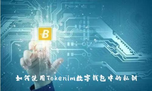 如何使用Tokenim数字钱包中的私钥
