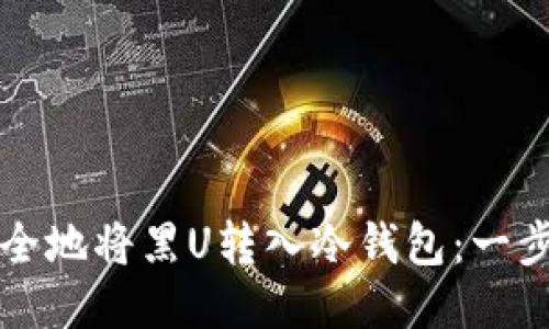 如何安全地将黑U转入冷钱包：一步步指南