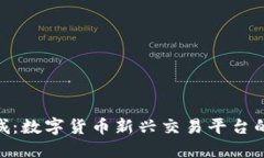 探索Pi币商城：数字货币新兴交易平台的机遇与挑