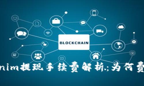 bianotiTokenim提现手续费解析：为何费用如此之高？