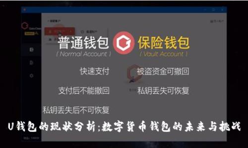 U钱包的现状分析：数字货币钱包的未来与挑战