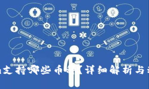 Tokenim支持哪些币种？详细解析与动态更新