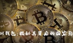 TokenTokenIM钱包：揭秘其背后的国家影响与市场潜