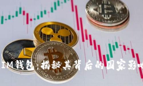 TokenTokenIM钱包：揭秘其背后的国家影响与市场潜力