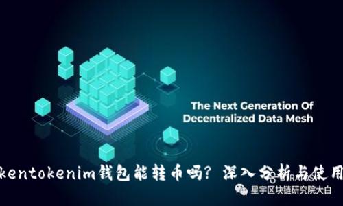 假Tokentokenim钱包能转币吗? 深入分析与使用指南