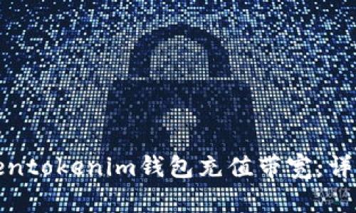 如何通过Tokentokenim钱包充值带宽：详细指南与建议