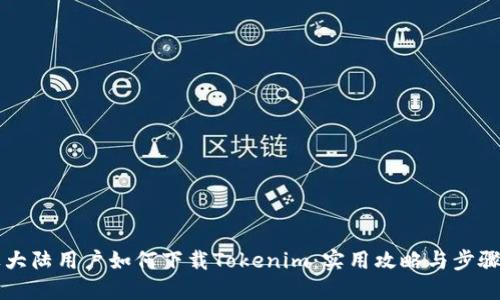 苹果大陆用户如何下载Tokenim：实用攻略与步骤详解