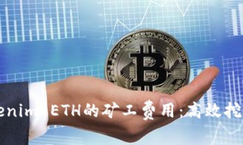 如何降低Tokenim ETH的矿工费用：高效挖矿与费用指南