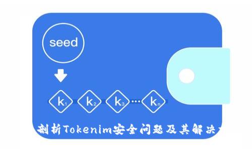深入剖析Tokenim安全问题及其解决方案