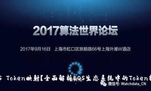 什么是EOS Token映射？全面解析EOS生态系统中的Token转换与应用