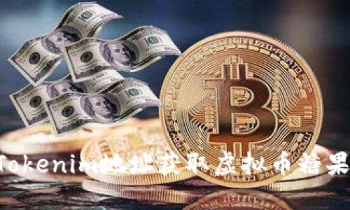 如何填入Tokenim地址获取虚拟币糖果：完整指南
