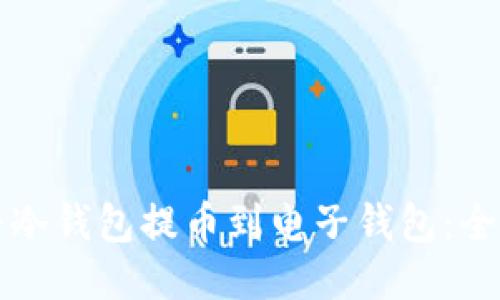 如何将冷钱包提币到电子钱包：全面指南