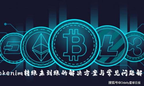 Tokenim转账未到账的解决方案与常见问题解析