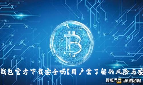 下载TP钱包官方下载安全吗？用户需了解的风险与安全措施