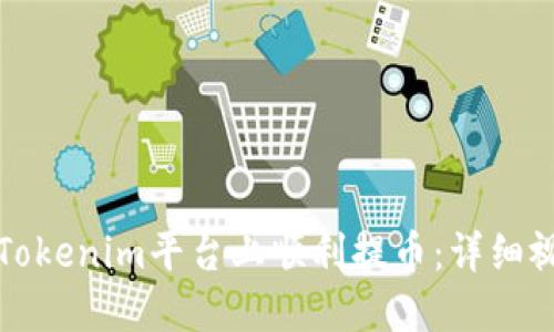 如何在Tokenim平台上顺利提币：详细视频指南