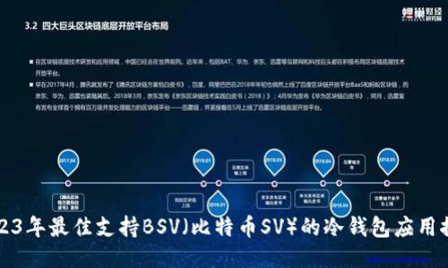 2023年最佳支持BSV（比特币SV）的冷钱包应用推荐