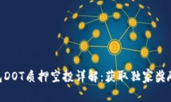 Tokenim钱包DOT质押空投详解：获取独家奖励的最佳