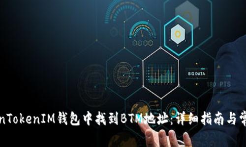如何在TokenTokenIM钱包中找到BTM地址：详细指南与常见问题解答