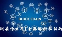 Tokenim的私钥有什么用？全面解析私钥的重要性与