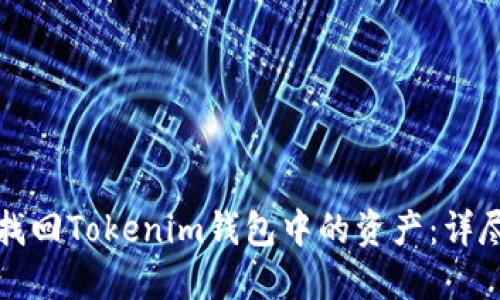 如何找回Tokenim钱包中的资产：详尽指南