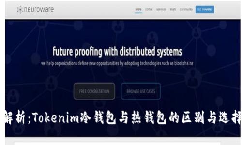 深度解析：Tokenim冷钱包与热钱包的区别与选择指南