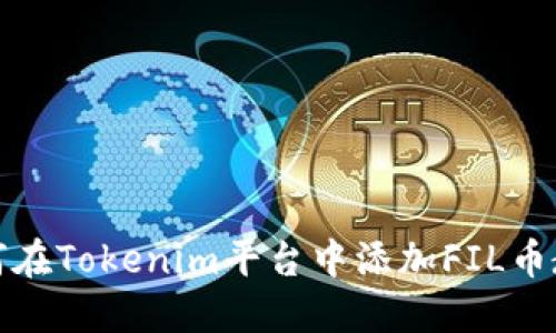 如何在Tokenim平台中添加FIL币教程
