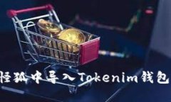 如何在小怪狐中导入Tokenim钱包：详细指南