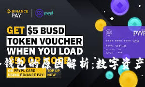 美国使用冷钱包的原因解析：数字资产安全的保障