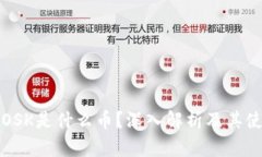 冷钱包OSK是什么币？深入解析及其使用方式