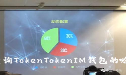 如何查询TokenTokenIM钱包的哈希值？