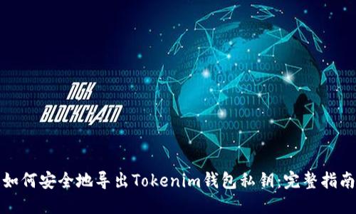 如何安全地导出Tokenim钱包私钥：完整指南