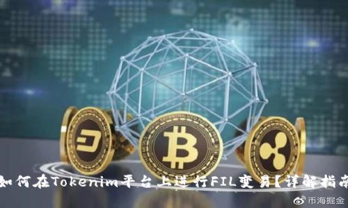 如何在Tokenim平台上进行FIL变易？详解指南