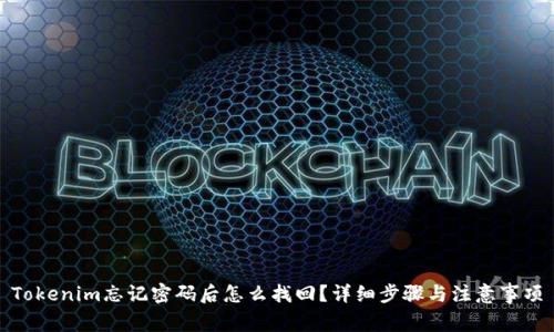 Tokenim忘记密码后怎么找回？详细步骤与注意事项