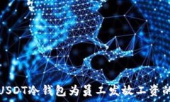   如何通过USDT冷钱包为员工发放工资的完整指南