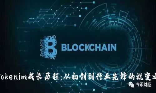 : Tokenim成长历程：从初创到行业先锋的蜕变之路