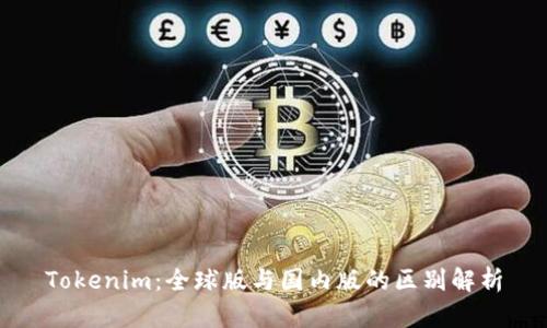 Tokenim：全球版与国内版的区别解析